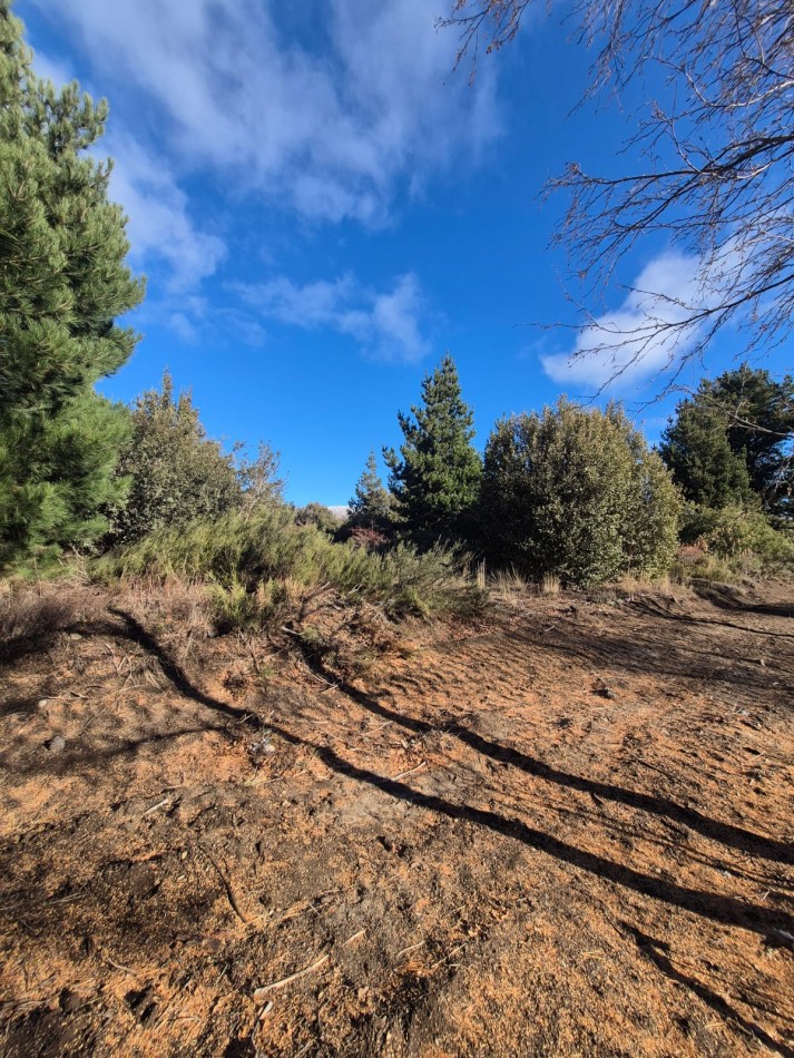 Lote en Venta Abedules