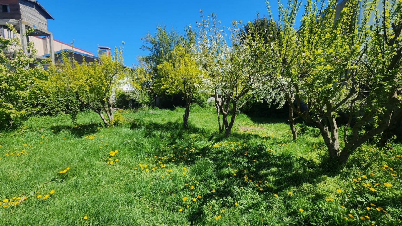 Casa sobre Onelli con gran lote y potencial de desarrollo