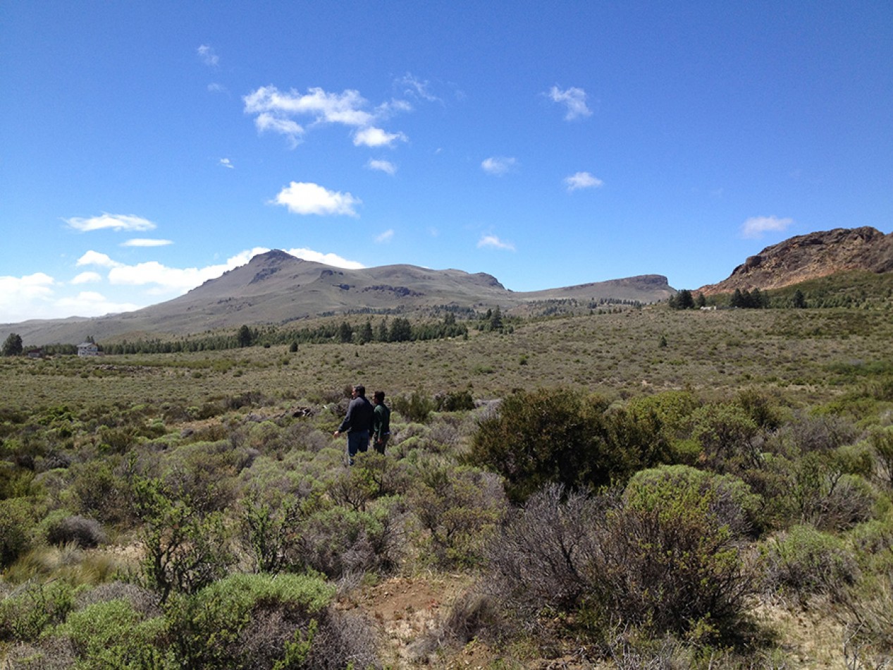 Lote de 1538m2 en Barrancas de Dina Huapi - Lote 109