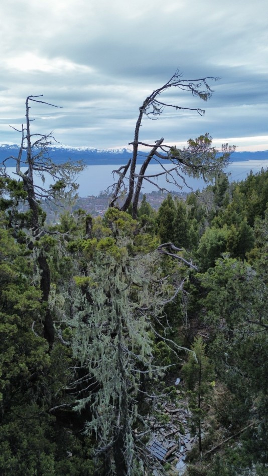 Lote en Ladera Norte - Naturaleza, pendiente y vista al lago