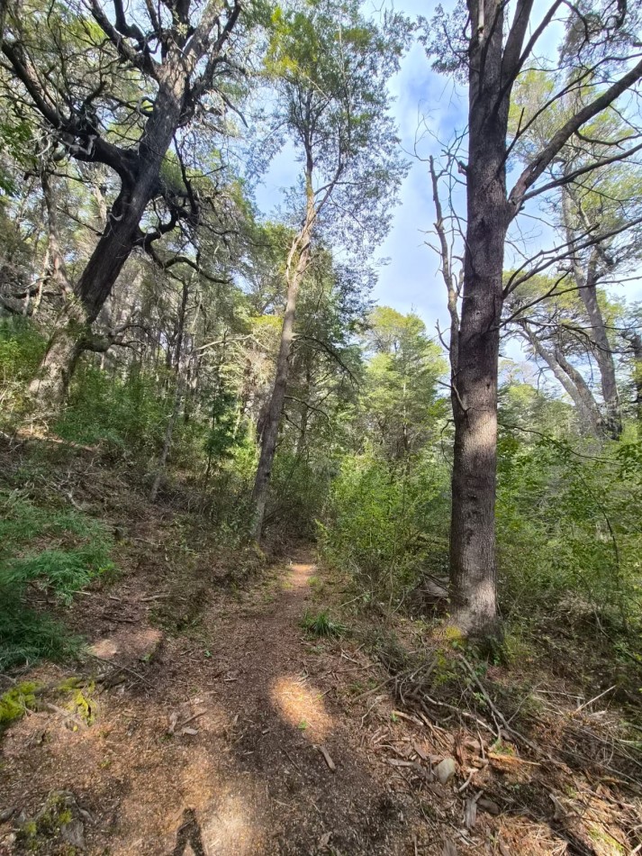 Lote en venta en Peninsula San Pedro | Naturaleza, privacidad y vistas al Nahuel Huapi